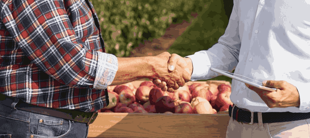 Agri-businesses and cooperatives