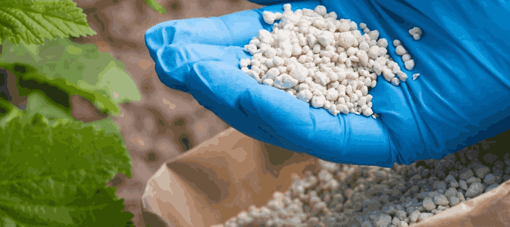 Agrochemical and fertilizer companies