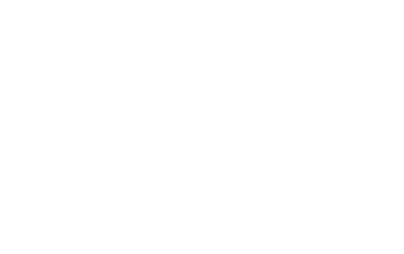 SPVIE