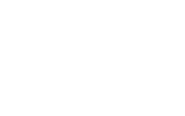 Transperfect