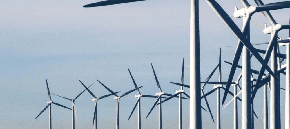 Utility and power generation organization