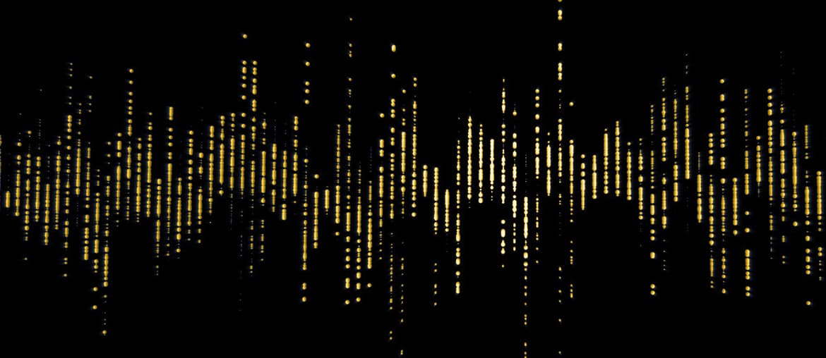 Application pour l'Analyse Vocale des Sentiments