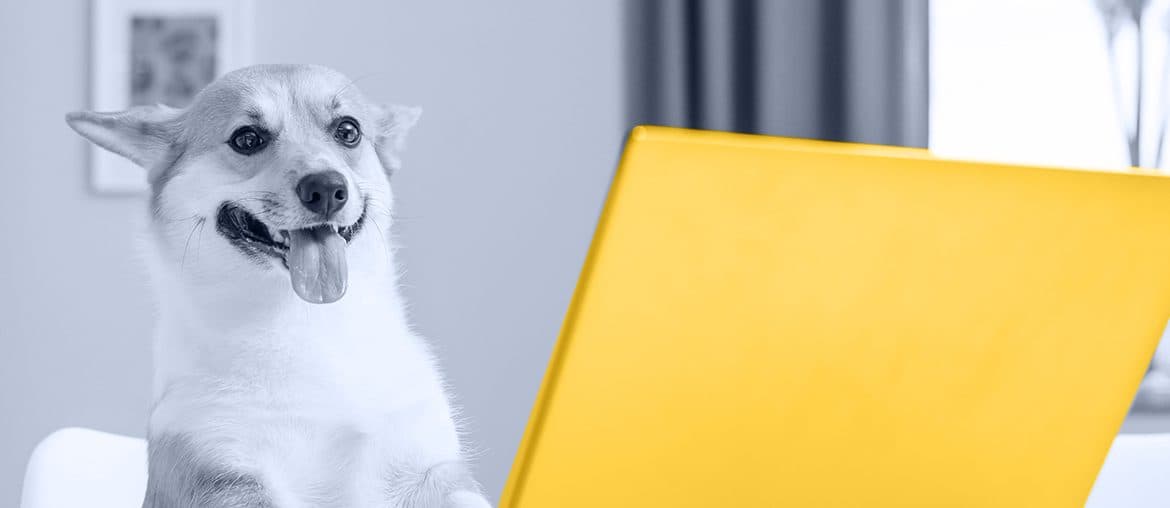 Animalpetbook: Réseau Social Pour Amoureux des Animaux