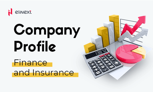 Our Expertise in Finance and Insurance preview