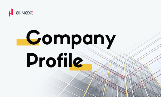 Company Overview preview