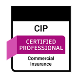 Commercial Insurance Professional