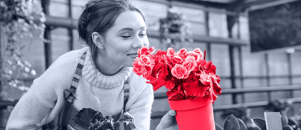 App de Soin des Plantes Connectée à un Gadget High-Tech de Jardin