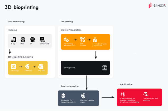 3D bioprinting