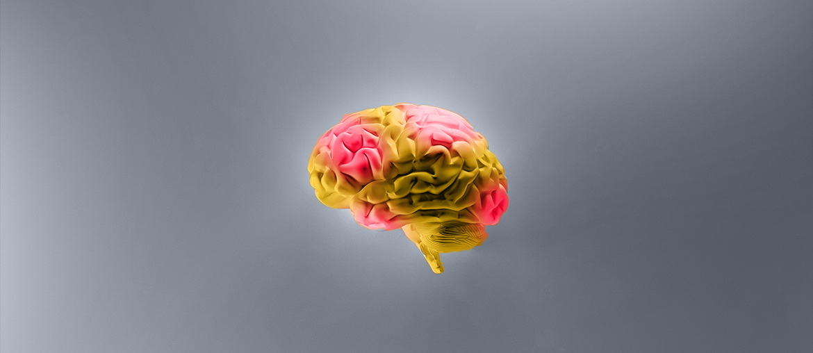 Brain Data Monitoring App Development