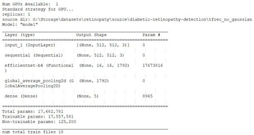 Model data before starting training