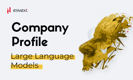 Elinext LLM Solutions company profile